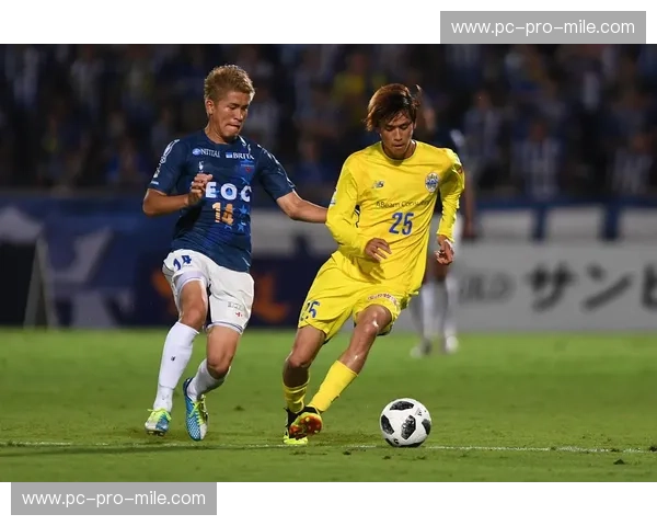 山形vs水户：一场穿越时空的味蕾与历史的对话